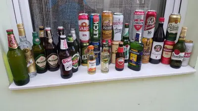 a bunch of beer bottles sitting on a shelf at Rooms Ela Ela in Prekodolce