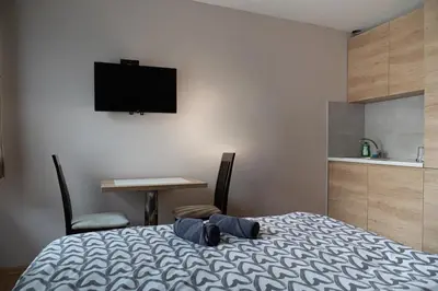 a bedroom with a bed and a desk and a television at Studio Apartments Maksimović in Niš