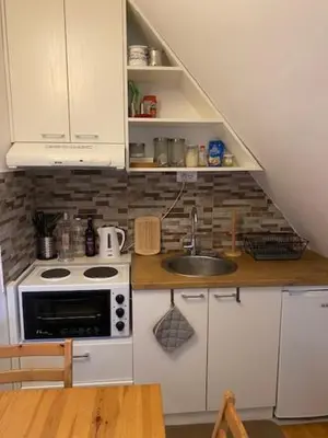 a small kitchen with a sink and a stove at Apartments Pavle in Kopaonik