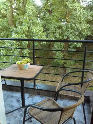 a table and two chairs and a bowl of fruit on a balcony at Apartment Blagojevic in Vrnjačka Banja