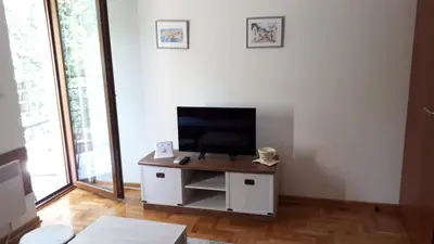 a living room with a television on a white cabinet at Apartment Blagojevic in Vrnjačka Banja