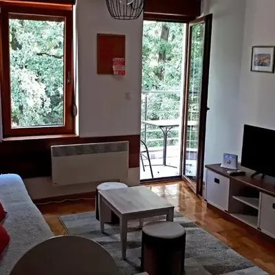 Apartment Blagojevic