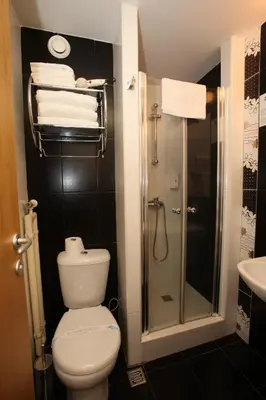 a bathroom with a shower and a toilet and a sink at Apartment Dream Konaci in Kopaonik