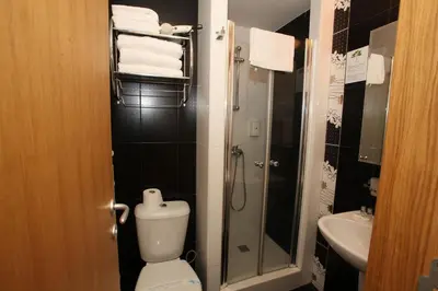 a bathroom with a shower and a toilet and a sink at Apartment Dream Konaci in Kopaonik