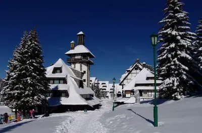a building covered in snow in front of trees at Apartment Dream Konaci in Kopaonik