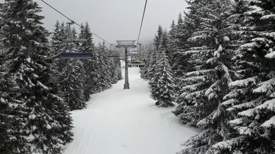 a ski slope with snow covered trees and a ski lift at Apartment Dream Konaci in Kopaonik