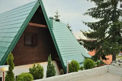 a building with a green roof and a tree at Holiday Home Dana Kopaonik in Kopaonik