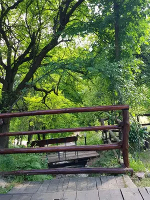 a wooden bench sitting in a park with trees at Guest House Lisinski Raj in Despotovac