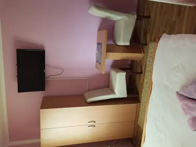 a bedroom with a bed and a desk with a tv at Guest House Lisinski Raj in Despotovac