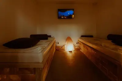 a room with two beds and a tv on the wall at Medical and Spa Centre Merkur in Vrnjačka Banja