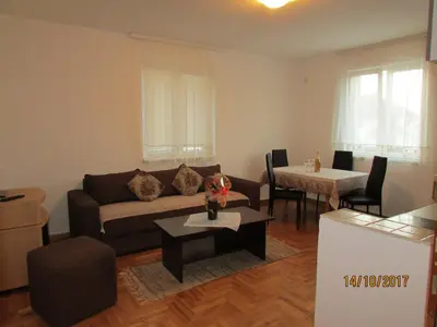 a living room with a couch and a table at Debora Apartment in Vrnjačka Banja