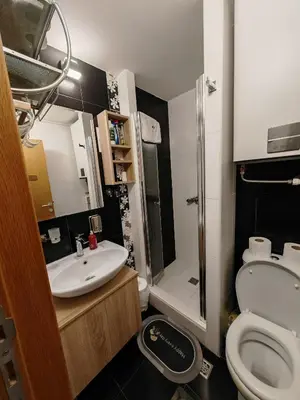 a bathroom with a sink and a toilet and a shower at Elite Apartment Konaci in Kopaonik