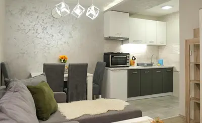 a living room with a couch and a kitchen at Villa Zagorka and mountain houses A, M, D in Kopaonik