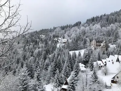 a village covered in snow with trees and houses at Stara Bačija in Kopaonik