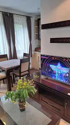 a living room with a tv and a table with flowers at Kamena Kuca Lux Apartment in Kopaonik