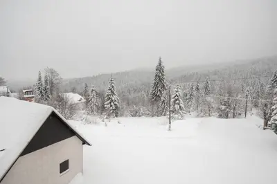 a snow covered yard with a house and trees at Apartman Kopaonik Despotovic in Kopaonik