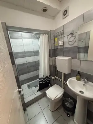a bathroom with a sink and a toilet and a shower at Dody Apartmani in Leskovac