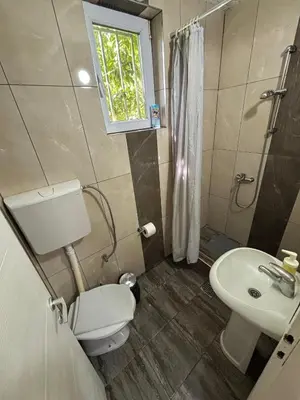 a bathroom with a sink and a toilet and a shower at Dody Apartmani in Leskovac