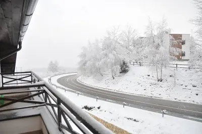 a winding road in the snow with snow covered trees at Dvori Apartments in Kopaonik
