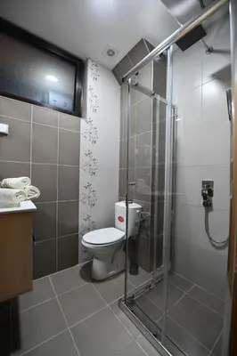 a bathroom with a toilet and a shower at Dvori Apartments in Kopaonik
