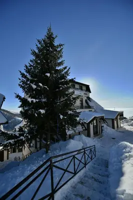 a christmas tree in the snow next to a building at Dvori Apartments in Kopaonik