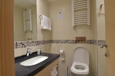 a bathroom with a sink and a toilet at Apartmani Prime in Kopaonik