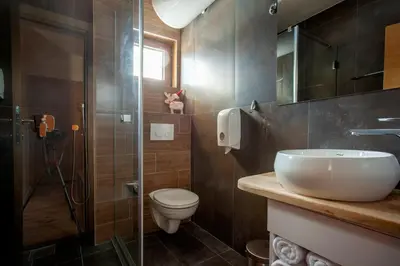 a bathroom with a sink and a toilet and a shower at Chalet Vrhovi Kopaonika in Kopaonik