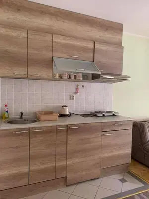 a kitchen with wooden cabinets and a sink at Apartmani Mićić in Vrnjačka Banja