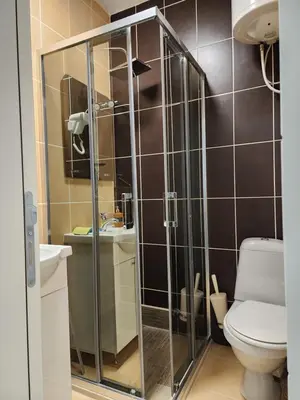 a bathroom with a shower with a toilet and a sink at Ebra Kraljevi Čardaci Kopaonik in Kopaonik