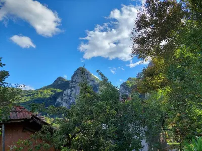 a view of the mountains with trees and a house at Golemi kamik Pirot in Pirot