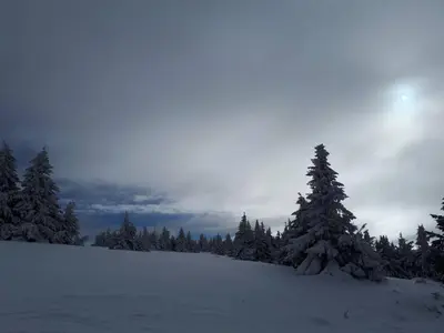 a snow covered hill with trees in the background at Katia М14 Milmari Resort in Kopaonik