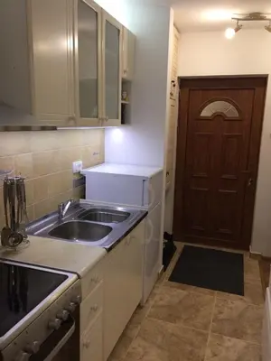 a kitchen with a sink and a wooden door at Apartment Lazic vila Suri in Kopaonik