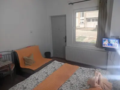 a bedroom with a bed and a window and a tv at Sanja Accomodation in Soko Banja