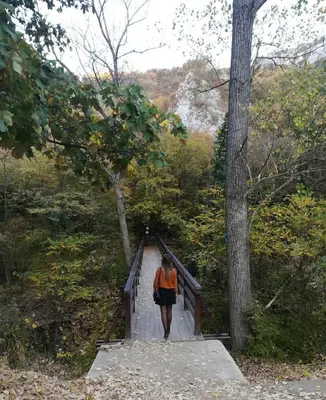 a woman walking down a stairs in the woods at Sanja Accomodation in Soko Banja