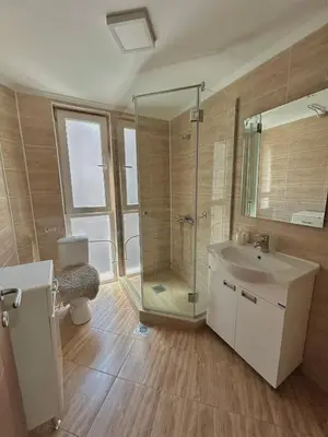 a bathroom with a shower and a sink and a toilet at Vila Markovic-a in Soko Banja