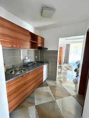 a kitchen with wooden cabinets and a sink at Vila Markovic-a in Soko Banja