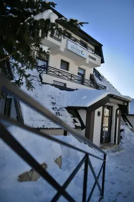 Gallery image of Dvori Apartments 8C in Kopaonik