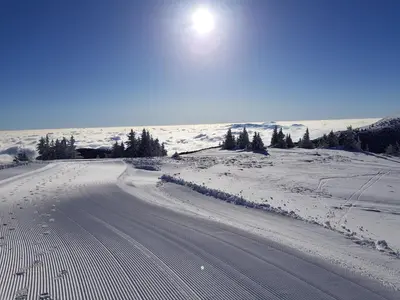 Gallery image of Dvori Apartments 8C in Kopaonik