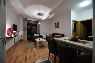 Gallery image of Dvori Apartments 8C in Kopaonik