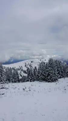 a snow covered hill with trees and a mountain at Apartment Simonida - Milmari M3 in Kopaonik