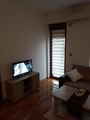 a living room with a couch and a flat screen tv at Apartment Hedonic in Vrnjačka Banja