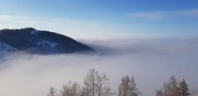 a group of trees in the fog with a mountain at Shining Apartment Milmari M11 in Kopaonik