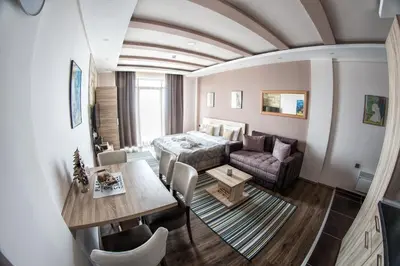 Gallery image of Milmari Apartments Joy M17 in Kopaonik
