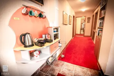 a hallway with a red carpet and a red rug at Apartments Passage in Vrnjačka Banja