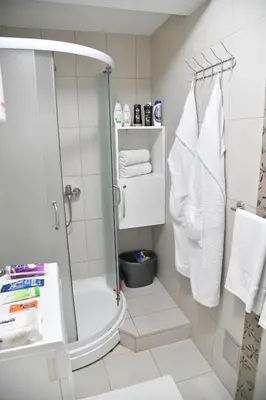 a bathroom with a shower and a toilet and towels at Stan Na Dan in Niš