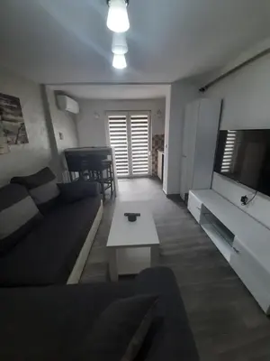 a living room with a couch and a table at Adrijana 1 Apartmani in Vrnjačka Banja