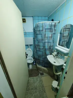 a bathroom with a sink and a toilet and a mirror at Smeštaj 