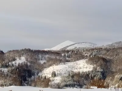 Gallery image of Luksuzni dupleks in Kopaonik