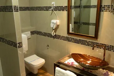 a bathroom with a toilet and a wooden sink at Garni Hotel Lotos in Niš
