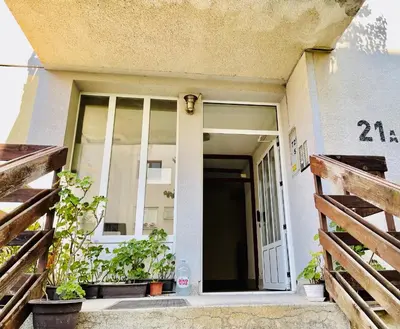 an open door of a house with potted plants at Sokobanja Apartman Aleksa in Soko Banja